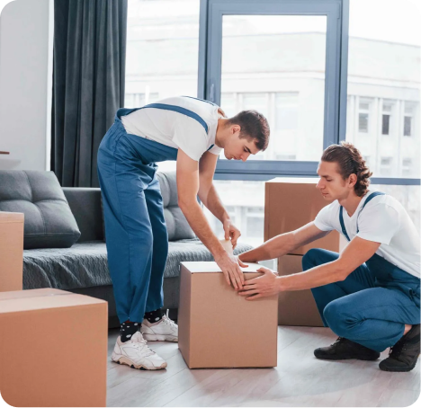 Move In/Out Cleaning